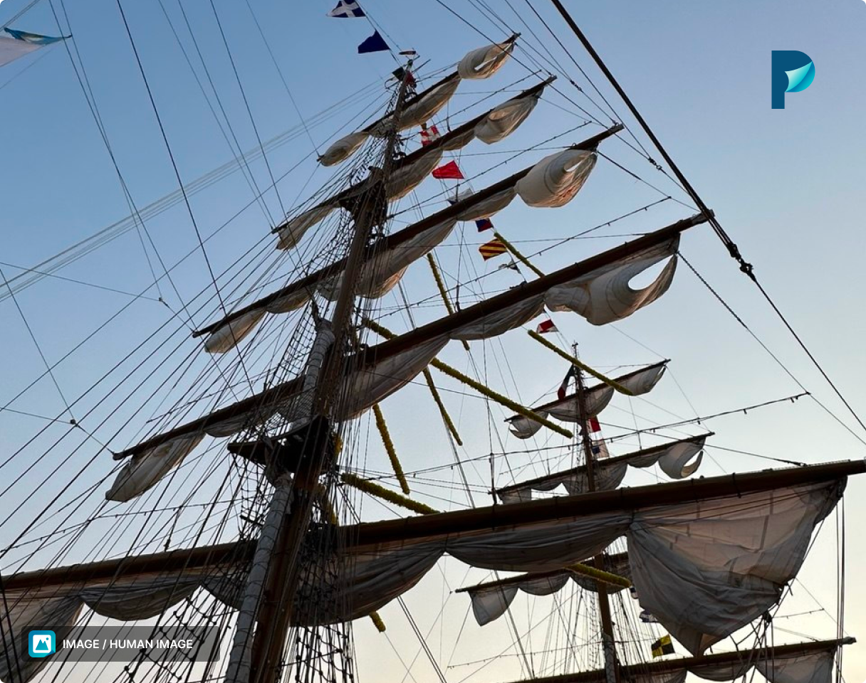 Access a wealth of quality stories and articles