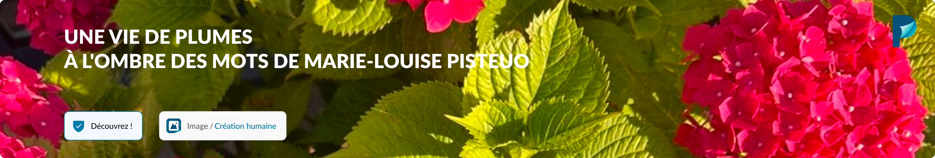 UNE VIE DE PLUMES