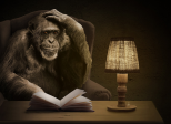 Le singe