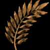 Ecirtap