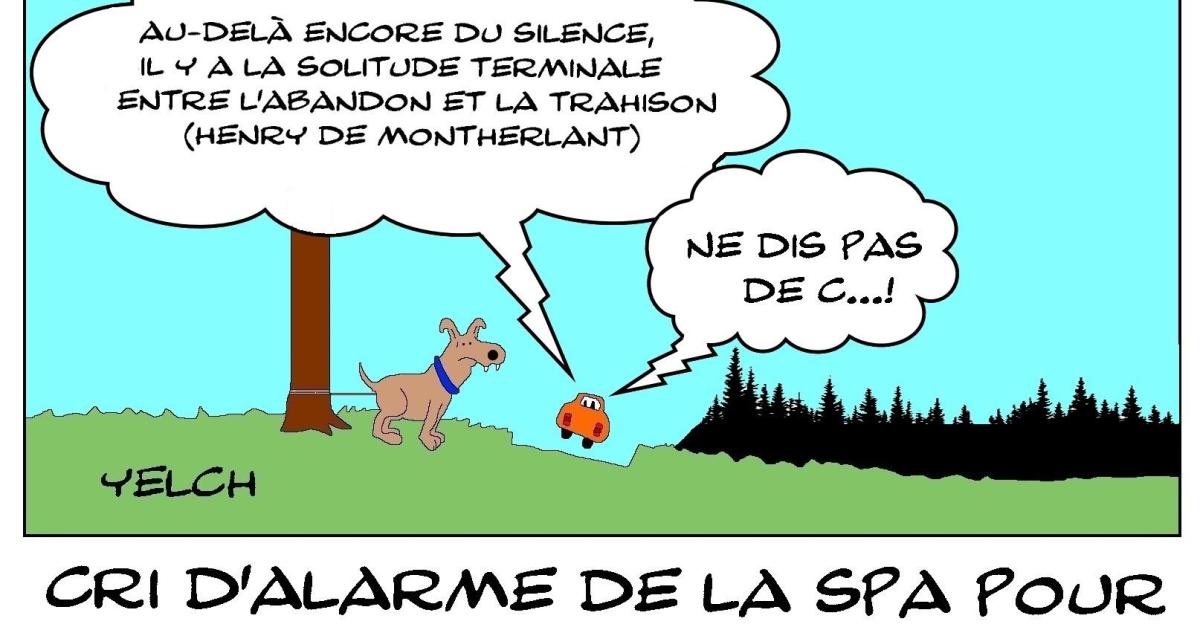 Abandons d'animaux