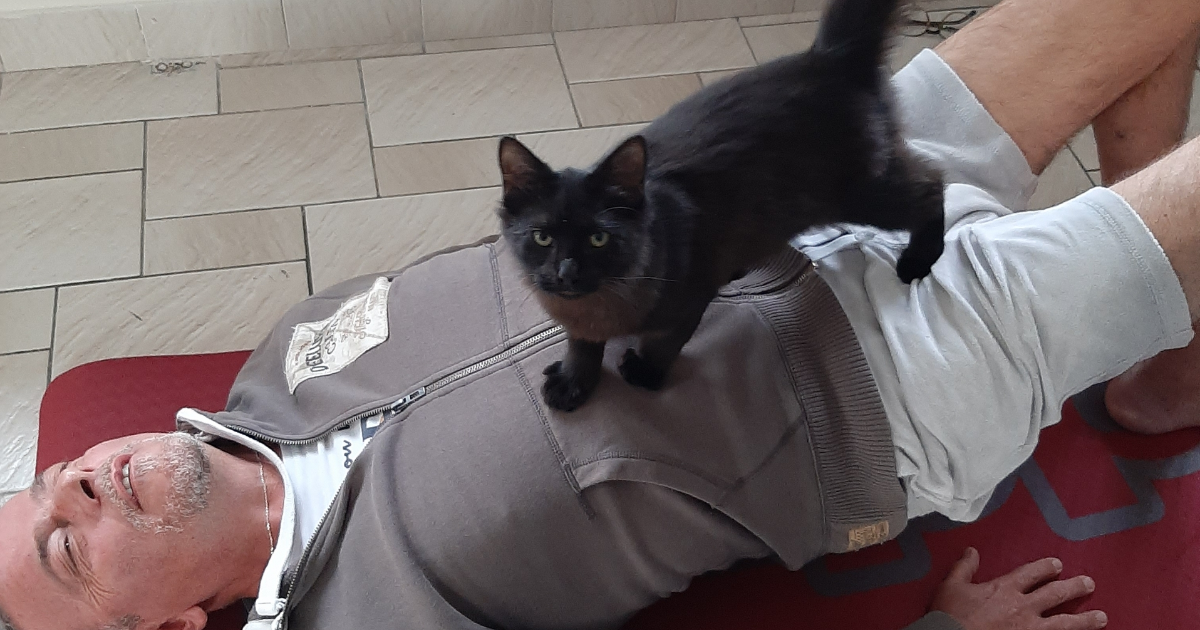 La légende du chat noir ...