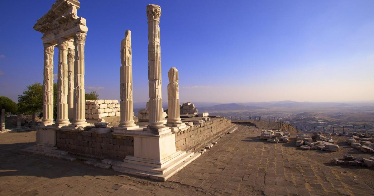 Covid Insanity Alliance