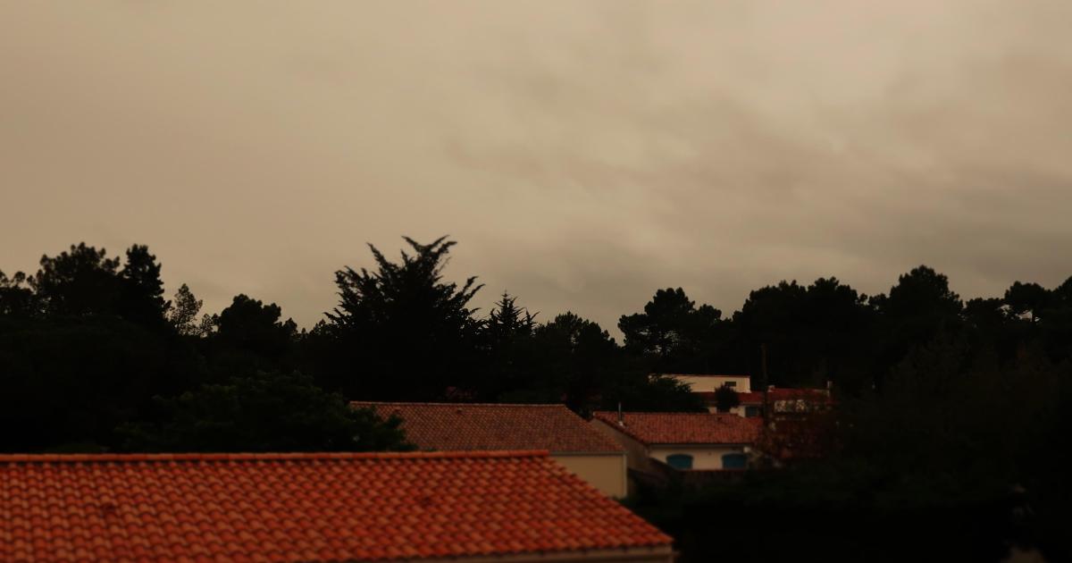 Chapitre 5- A la place d'une autre.