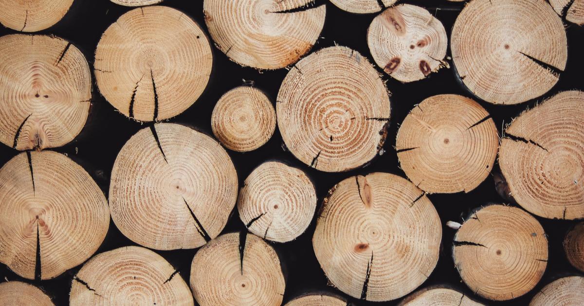 7ème Journée Internationale des forêts à Montner samedi 21 mars