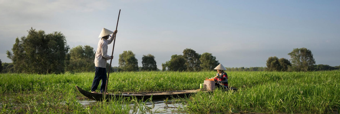 La crise agricole dans le Delta du Mékong