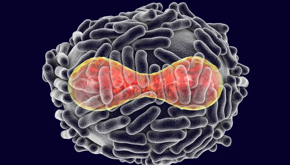 Sur la variole du singe, pustulons pour un vaccin !