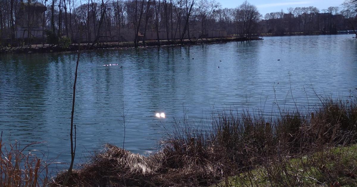 L'esprit de rencontre