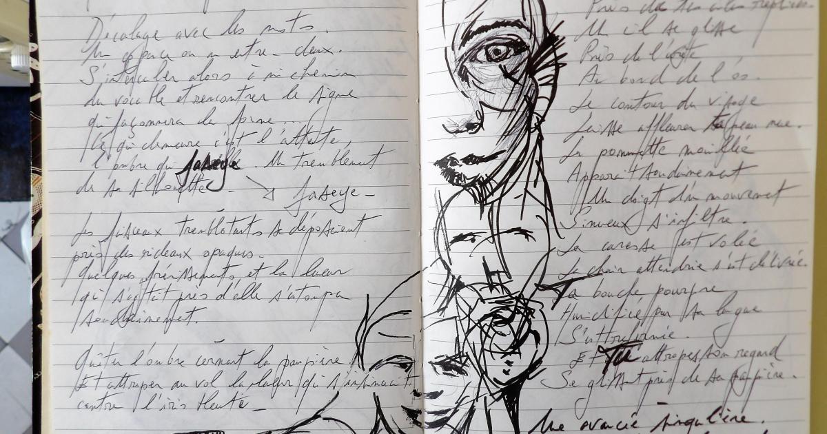 Petits Papiers Volants : Journal D'écriture 2003-2018 - mercredi 28 février 2018