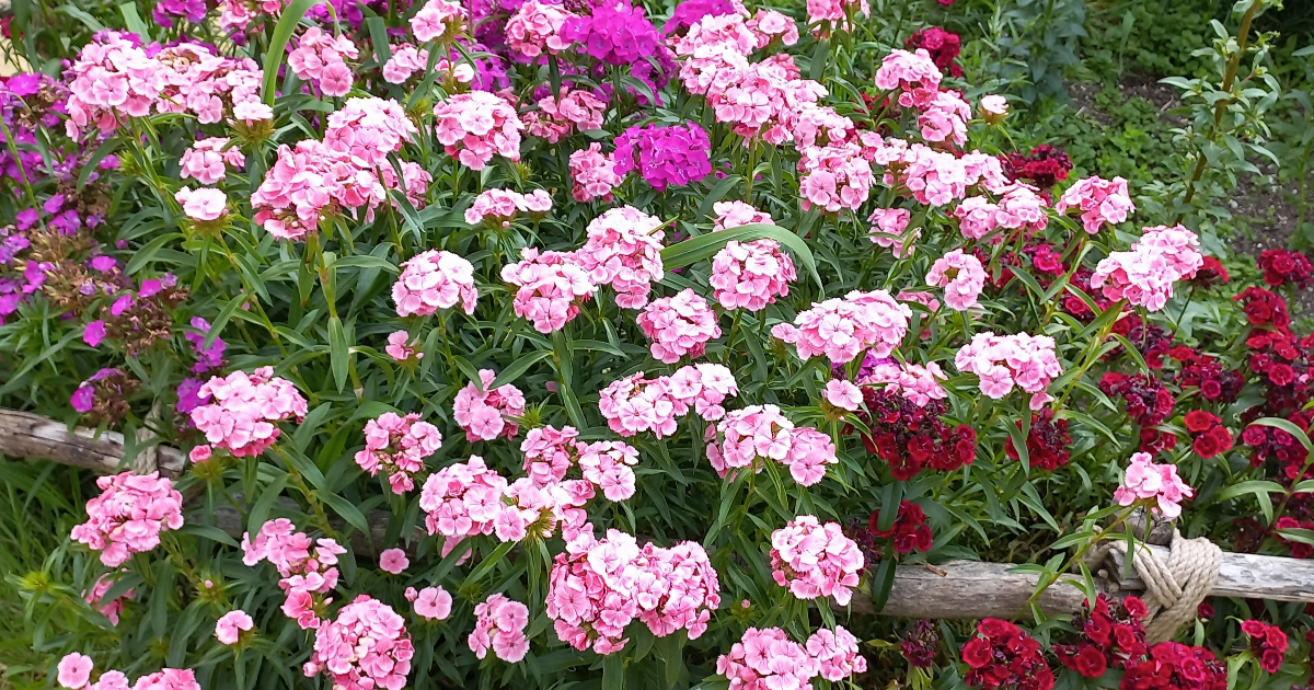 Être bienveillant envers soi