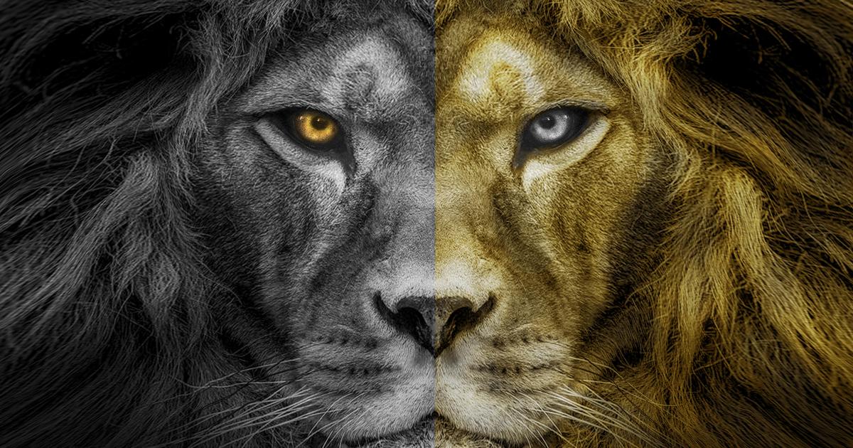 12.La Légende de Nil - Jean-Marc Ferry - Livre I - Les Diamants de Sarel-Jad - Chapitre VI - L'embarquement pour Sarel-Jad