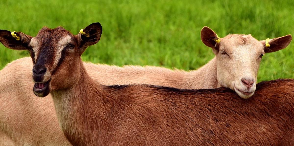 Jour 5  - 27/11/2018