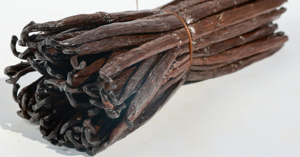 Décryptage de la Révolution Génétique de la Vanille