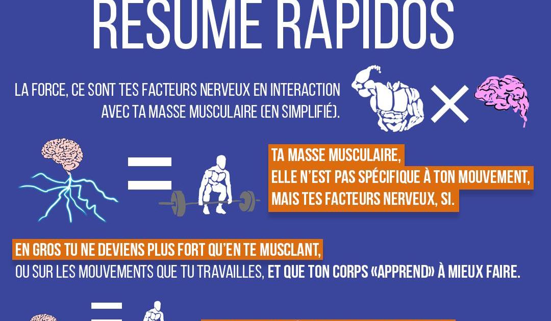 La force : résumé rapidos