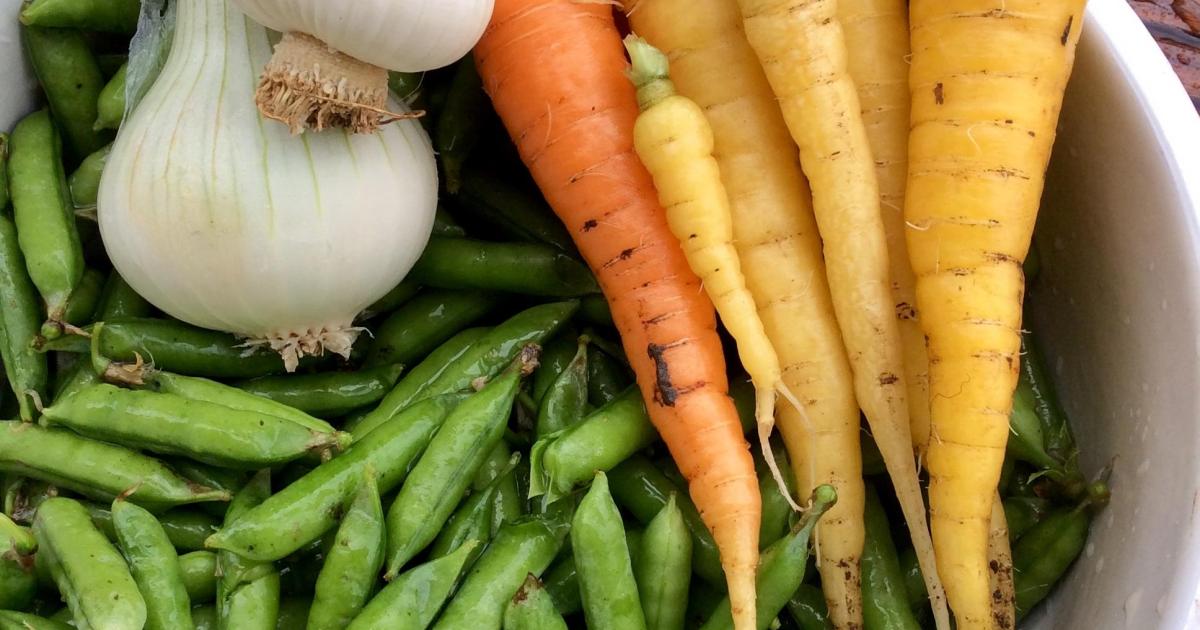 Le jardin du 12 Juin