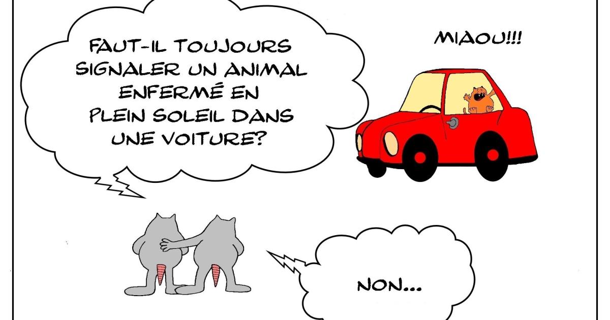 Le rat qui ne faisait pas toujours preuve d'altruisme