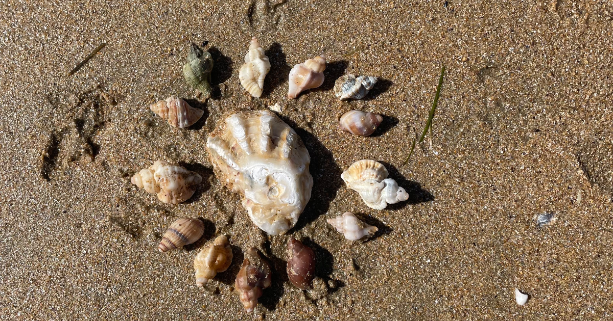 D'août, encore ... je vous écris.