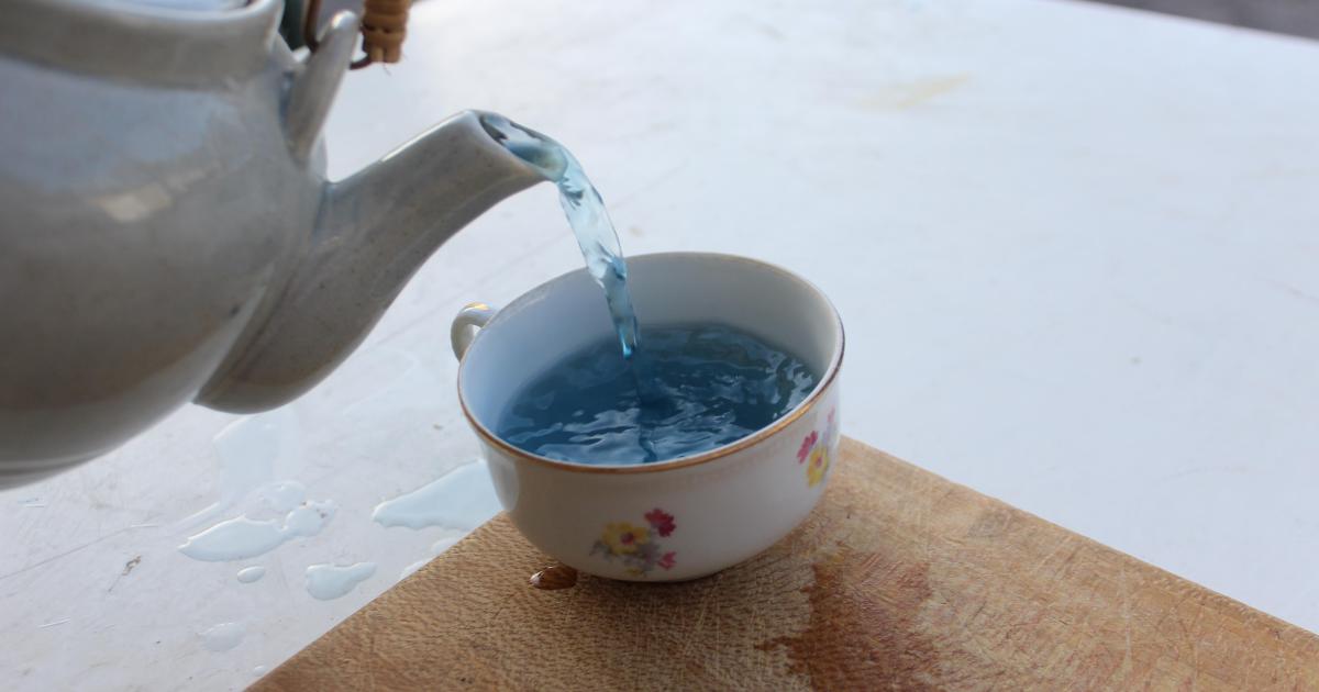 Journal de bord de jeûne #1