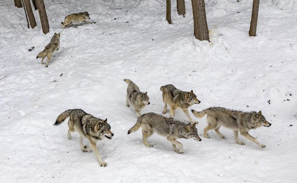 UN POUR TOUS, TOUS POUR UN