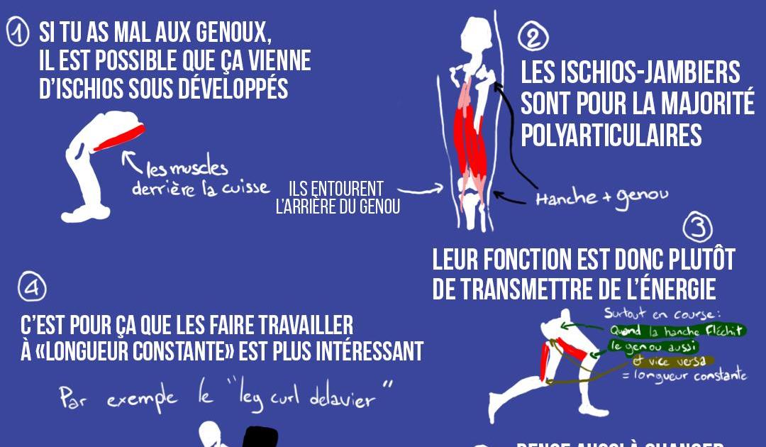Travailler ses ischios pour protéger ses genoux