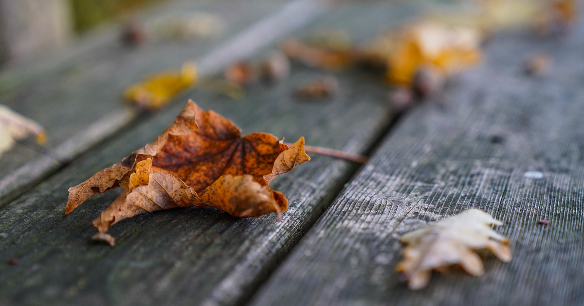 Le feu, le vent et la voix...