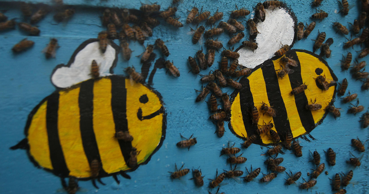 Bee Day: Las abejas merecen su día