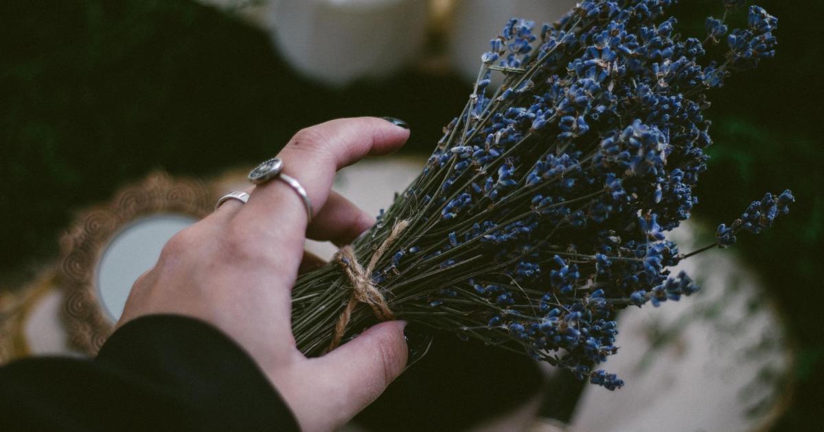 Je me souviens d'Elsa