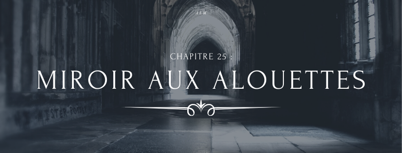 A la Moldue - Chapitre 25 : Miroir aux alouettes