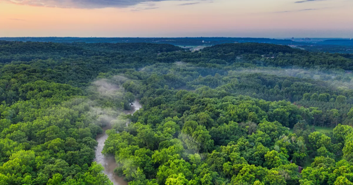 Mais que font les écolos ?