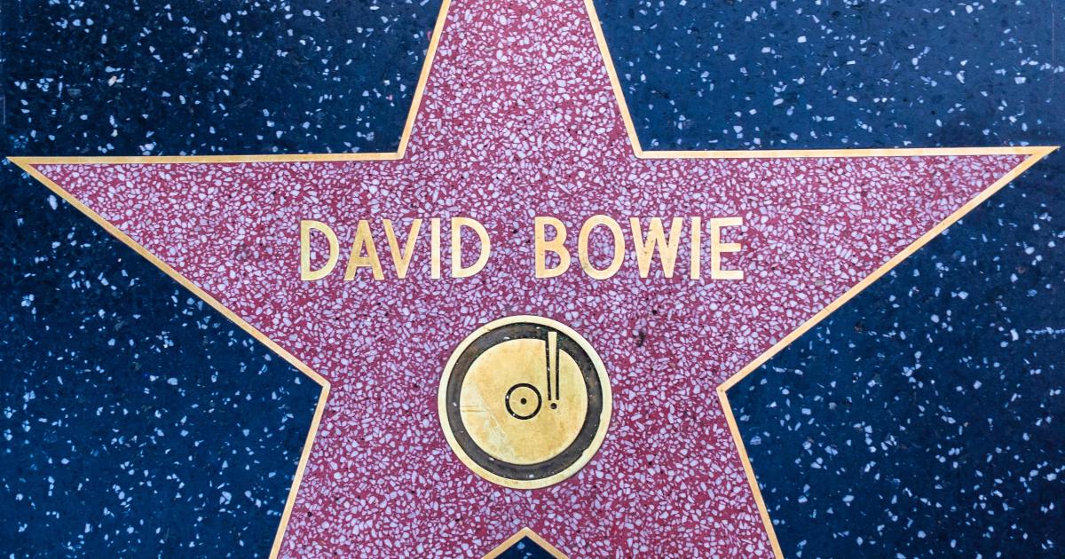 David Bowie - Une folle fraternité