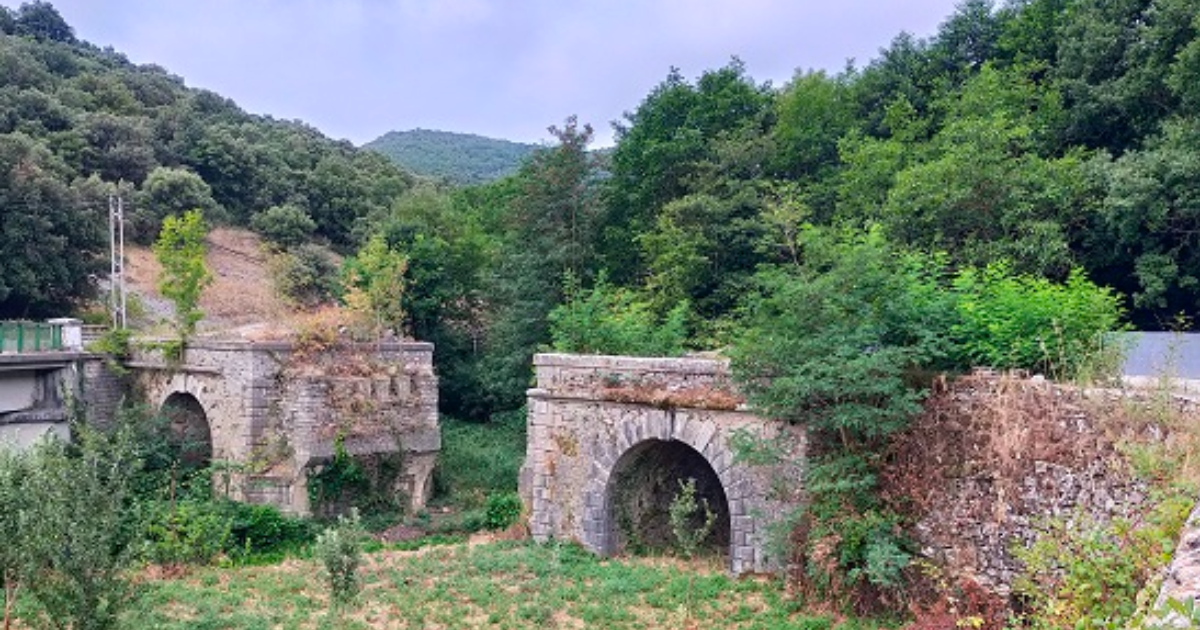 Chapitre 34 - Un coup pour rien