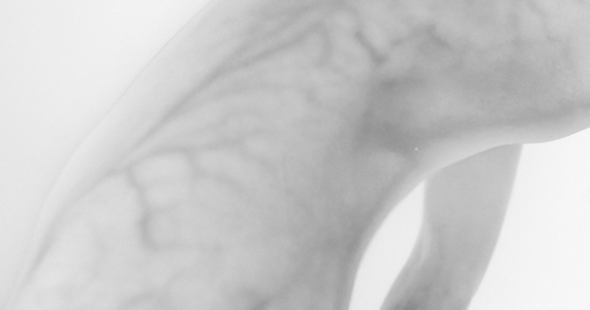 Dieu vomit les tièdes