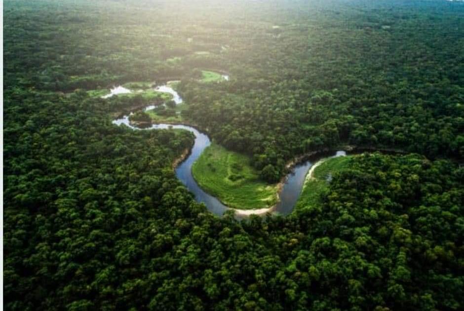 Il fallait survivre, Chronique du roman éponyme de Lucie Dequatremare