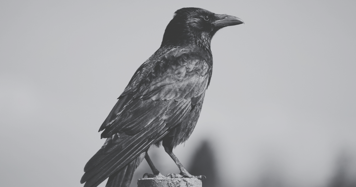 Bienvenue en Haute-Satire