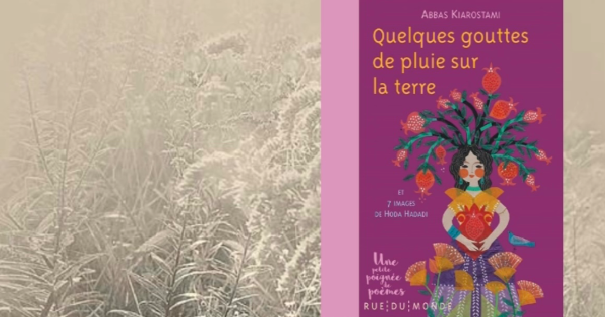 #jour10 : ordre et splendeur.