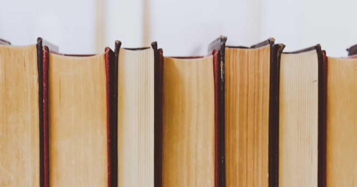 Quatrième de couverture