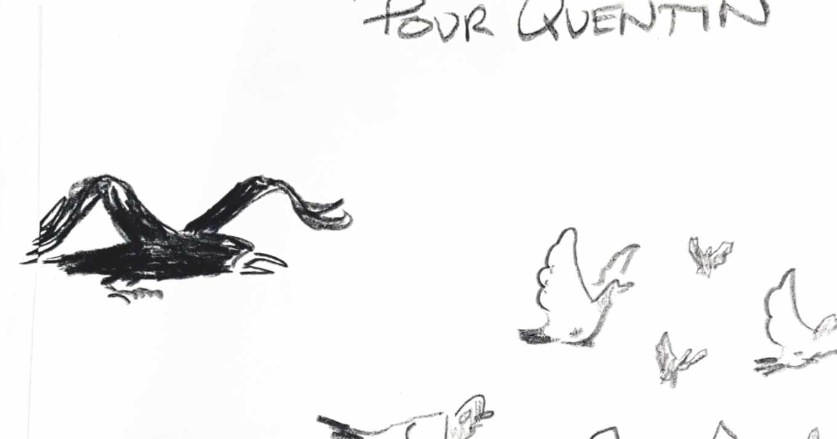 dedicace "Pigeons au festival BD d'amiens