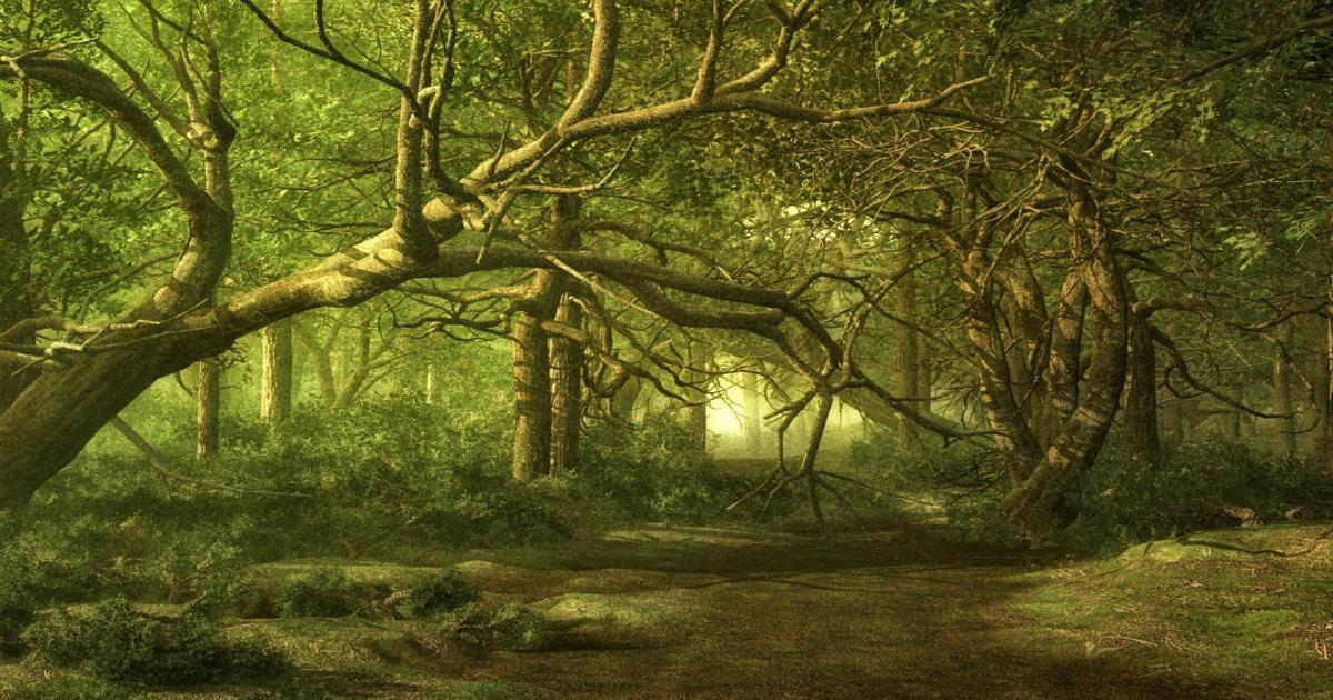 Episode 4 - Un endroit pour se reposer