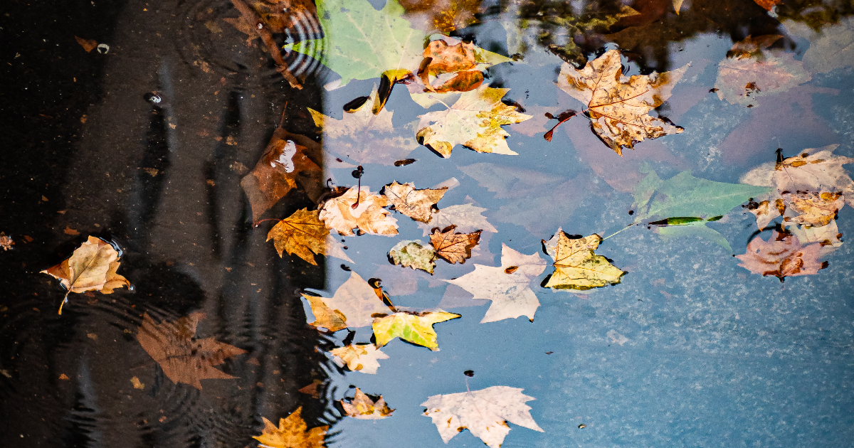 Mon Murmure Polyglotte