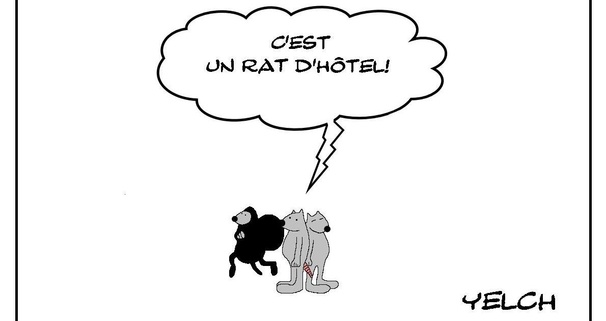 Rat d'hôtel