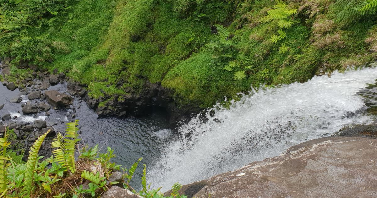 Une terre gorgée d'eau