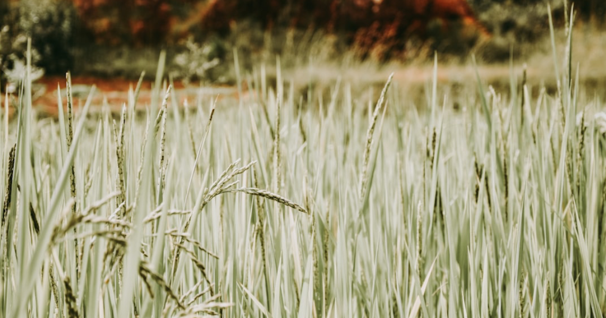 La malédiction des tombeaux - Partie 1