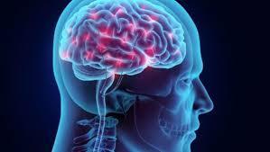 Quand l'humour est inné, l'auditoire est forcément acquis !