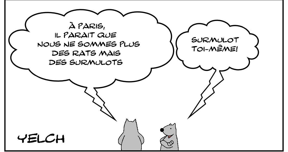 Surmulot toi-même