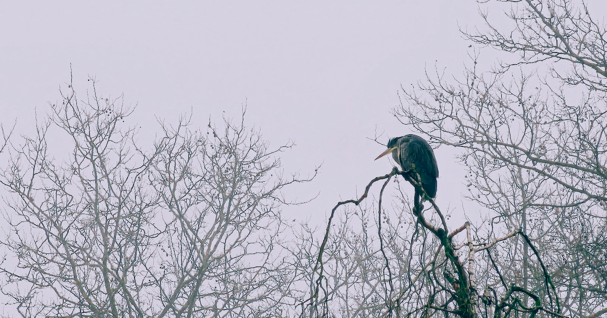 L'esprit des anciens dieux