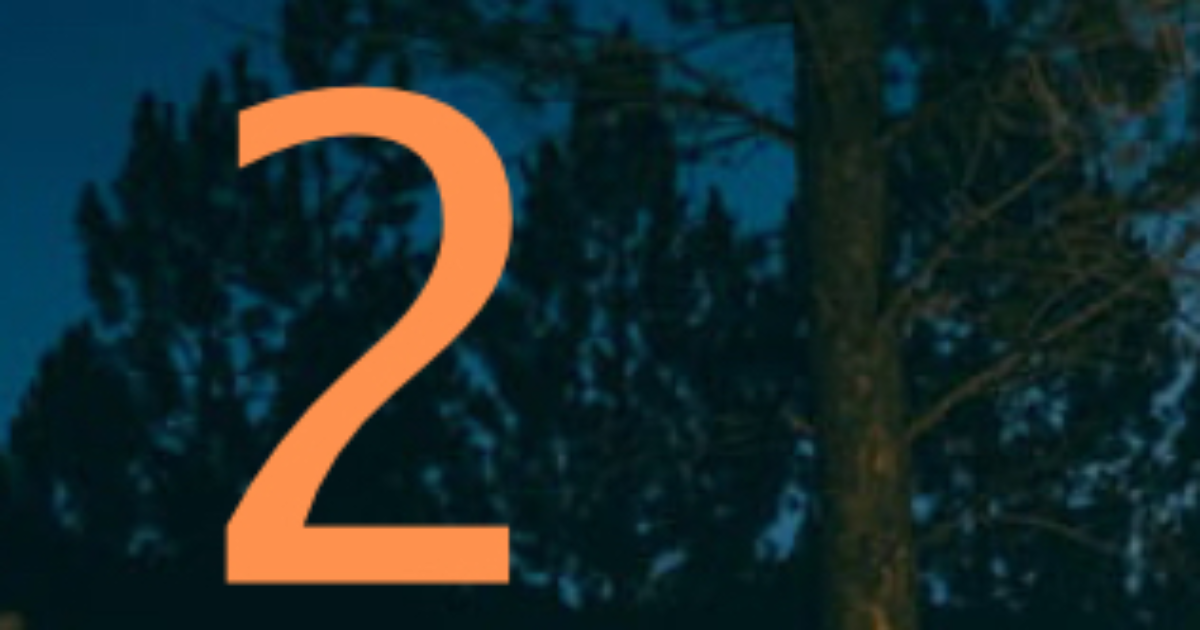 Case 2: 💫 La lueur au cœur des arbres