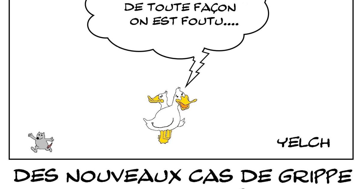 La grippe aviaire est de retour