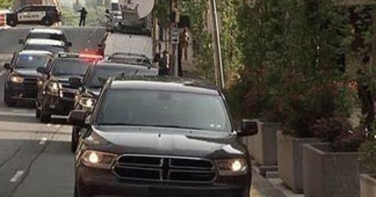 Either The Rule Of Law Or Mafia (II)