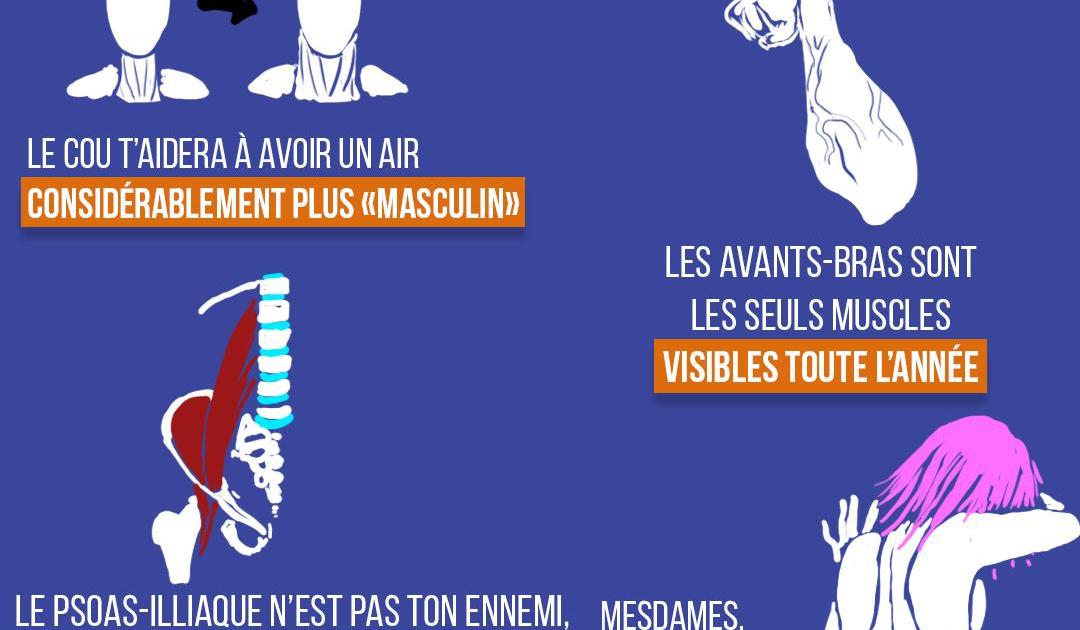 Les muscles négligés
