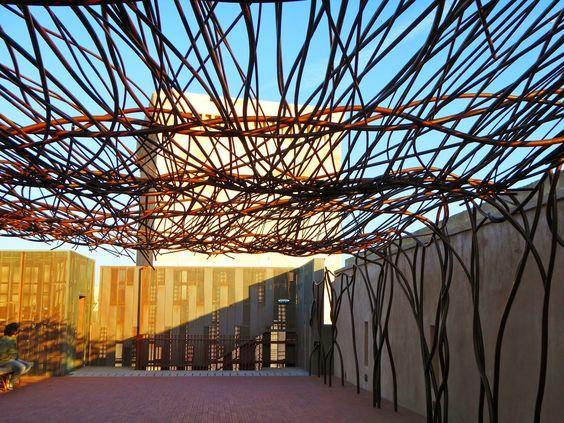Le programme de culture au jardin des rendez-vous gratuits cet été à Marseille